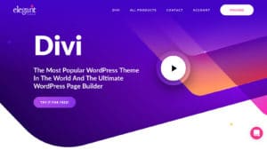 Divi Theme Homepage